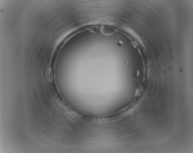 X0000075810876200610061729