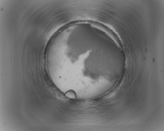 X0000075810879200610061729