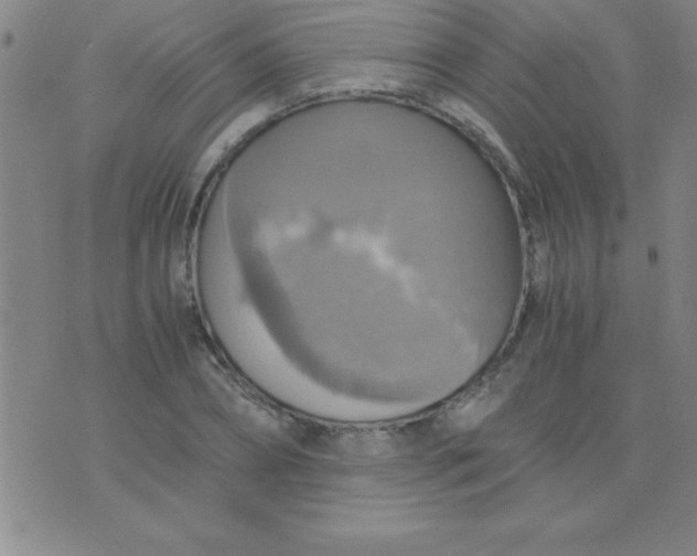 X0000075810882200610061729