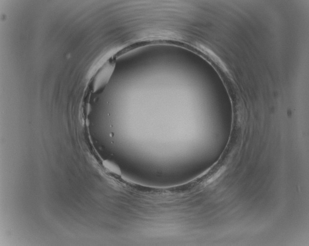 X0000075810885200610061729