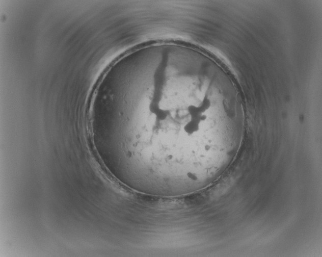 X0000075810887200610061729