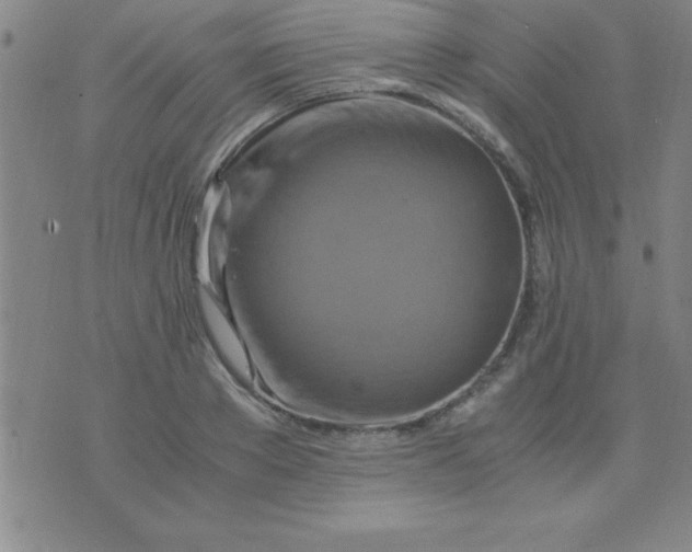 X0000075810889200610061729