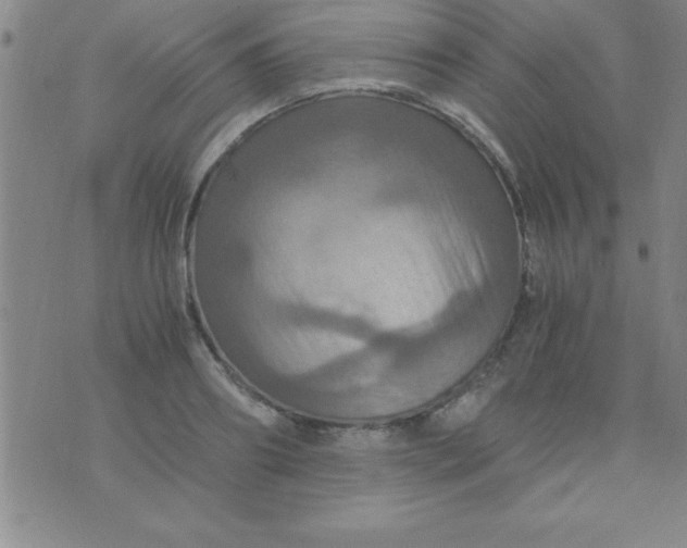 X0000075810890200610061729