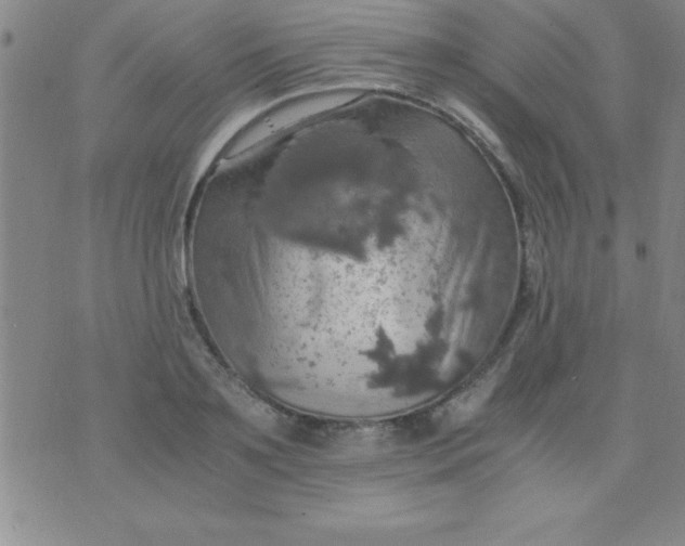 X0000075810891200610061729