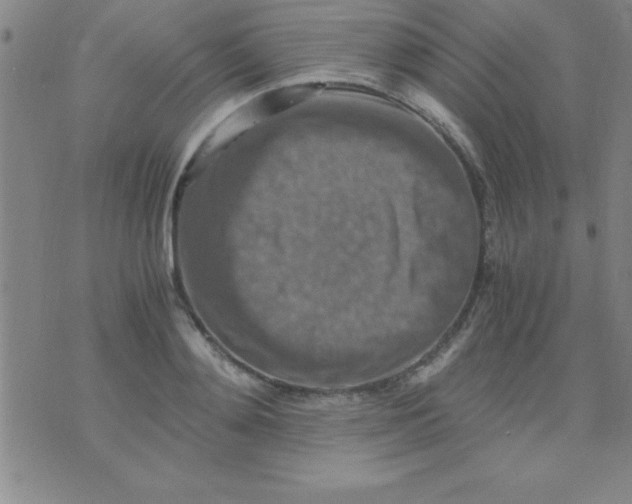 X0000075810892200610061729