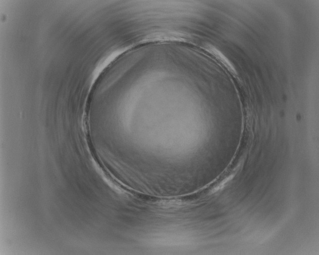 X0000075810893200610061729