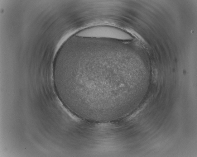 X0000075810894200610061729