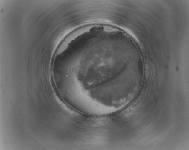 X0000075810895200610061729