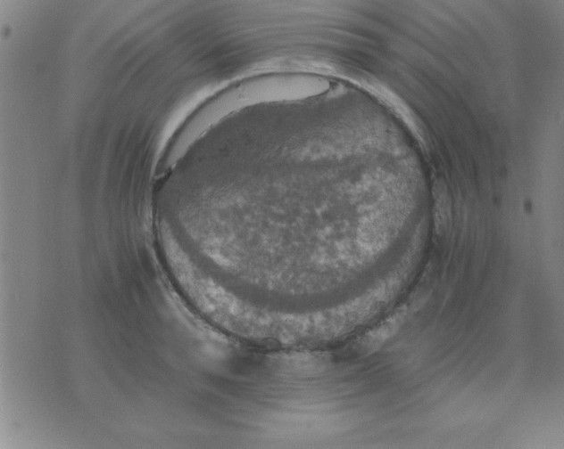 X0000075810896200610061729