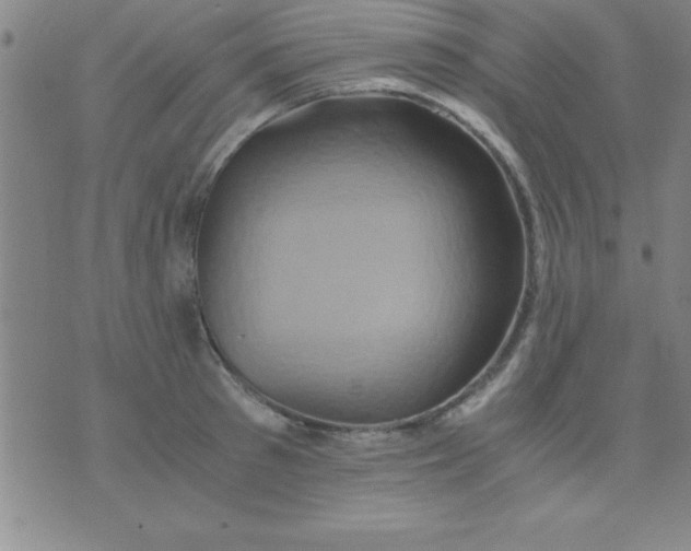 X0000075810897200610061729