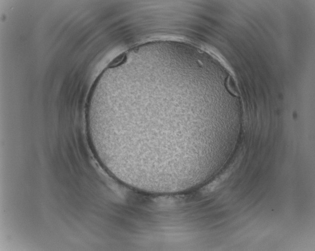 X0000075810898200610061729