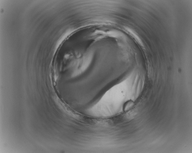 X0000075810899200610061729