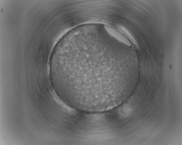 X0000075810900200610061729