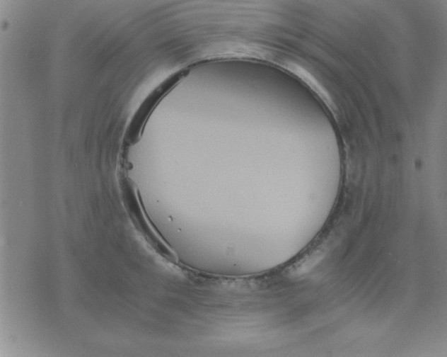 X0000075810901200610061729