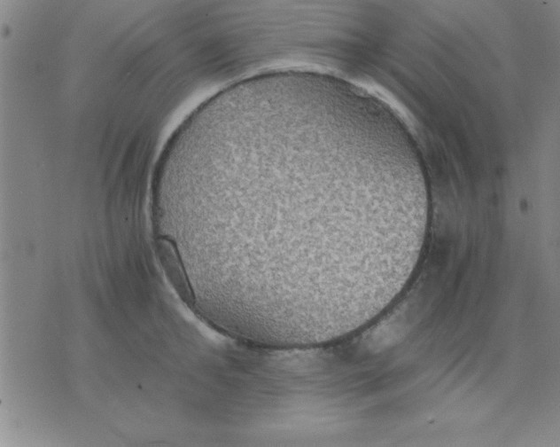 X0000075810902200610061729