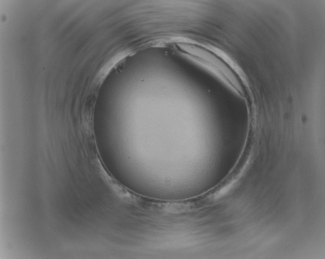 X0000075810905200610061729