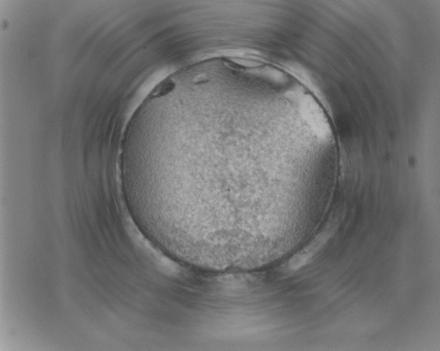 X0000075810906200610061729