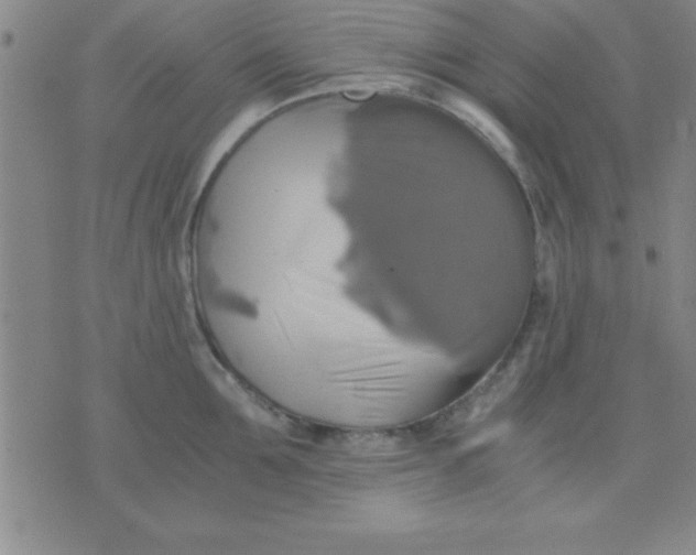 X0000075810907200610061729