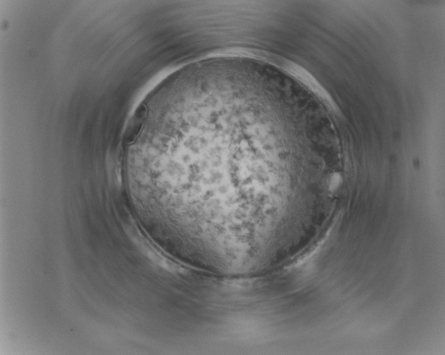 X0000075810908200610061729