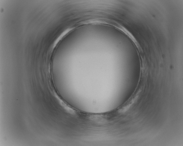 X0000075810909200610061729