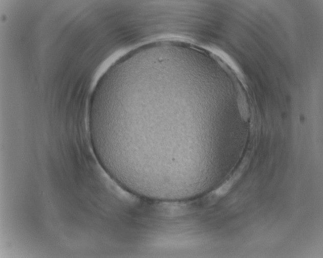 X0000075810910200610061729