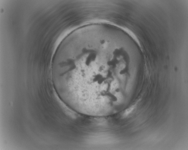 X0000075810911200610061729