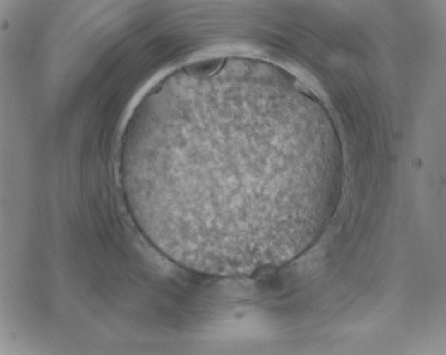 X0000075810912200610061729