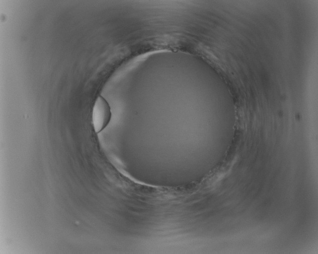 X0000075810913200610061728