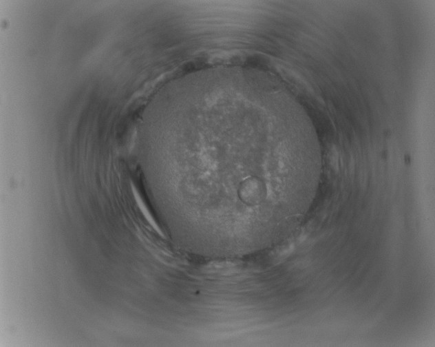 X0000075810914200610061728