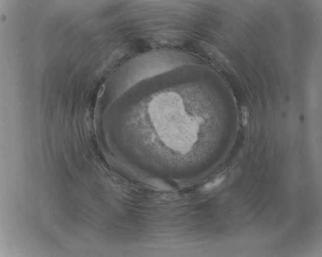 X0000075810915200610061728