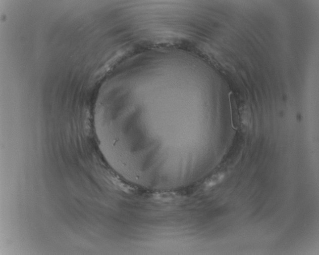 X0000075810916200610061728