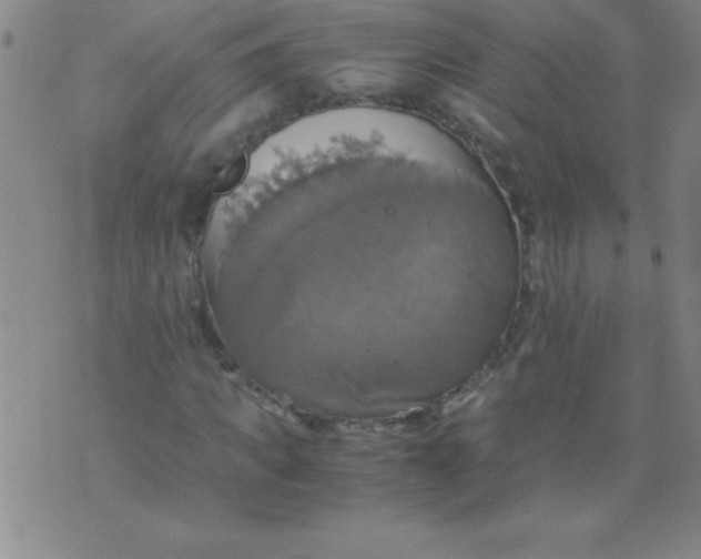 X0000075810917200610061728