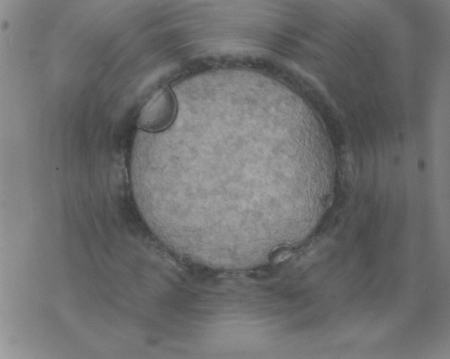 X0000075810918200610061728