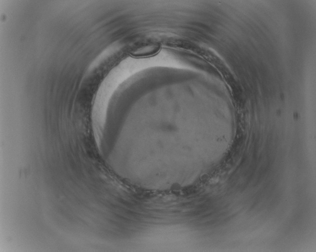 X0000075810919200610061728