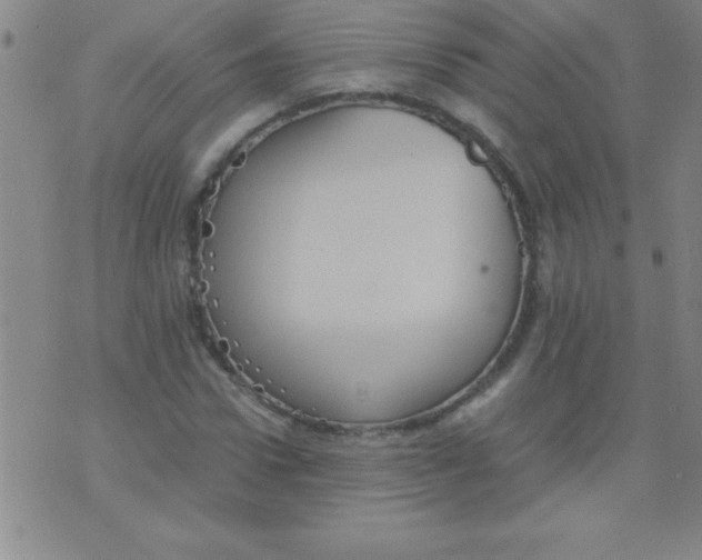 X0000075810922200610061728