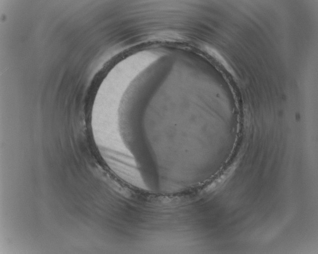 X0000075810923200610061728