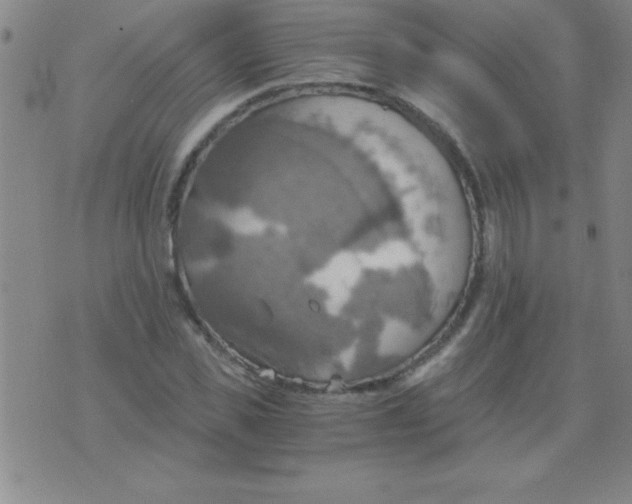 X0000075810925200610061728