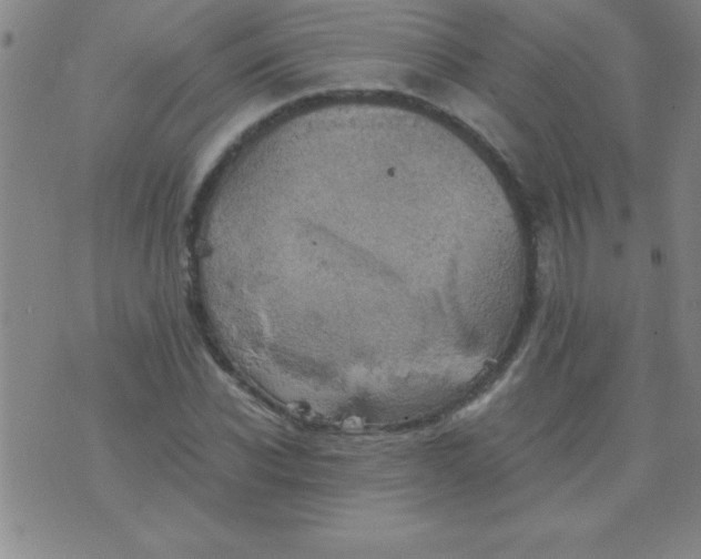 X0000075810926200610061728