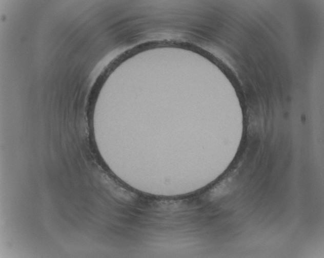 X0000075810927200610061728