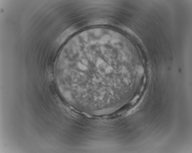 X0000075810929200610061728