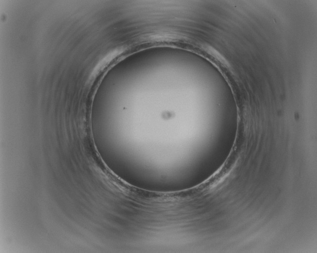 X0000075810930200610061728