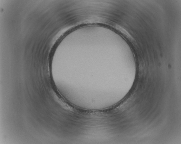 X0000075810934200610061728