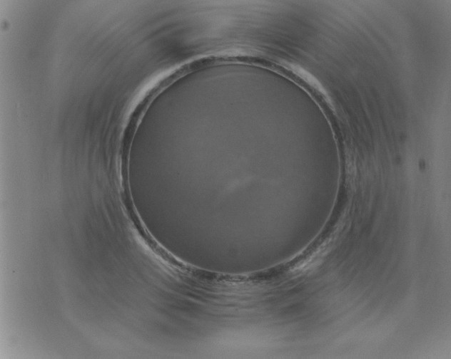 X0000075810935200610061728