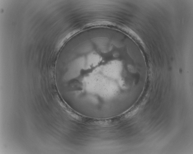 X0000075810937200610061728