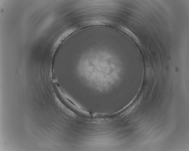 X0000075810938200610061728