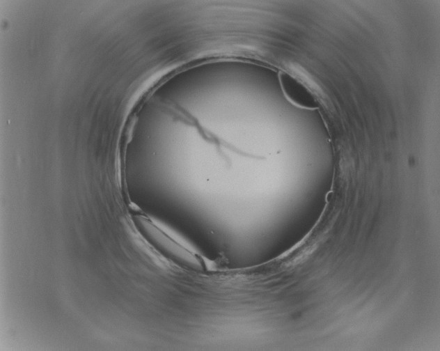 X0000075810940200610061728