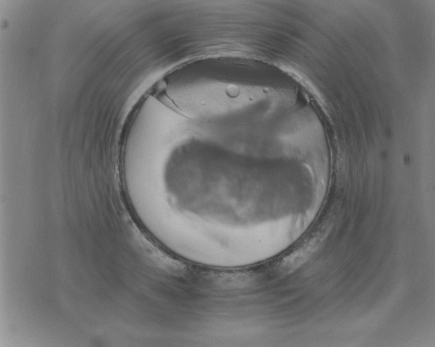 X0000075810941200610061728