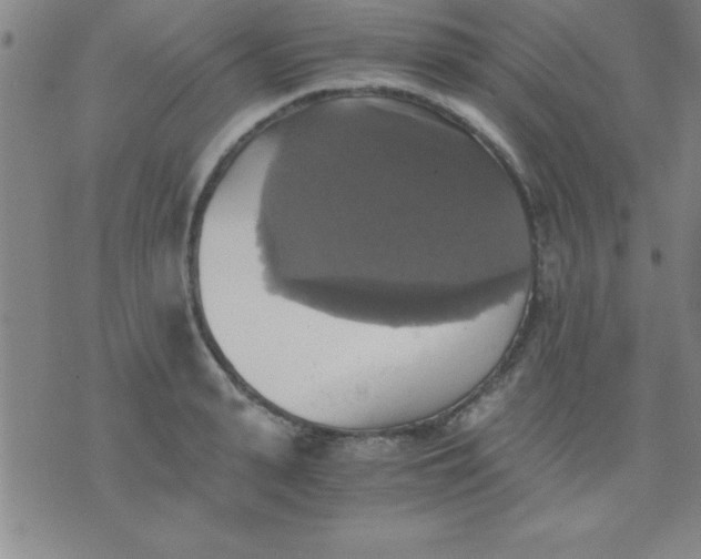 X0000075810943200610061728