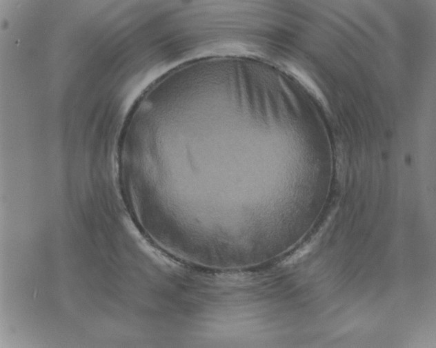 X0000075810944200610061728