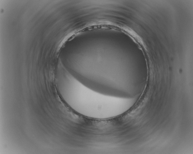 X0000075810945200610061728